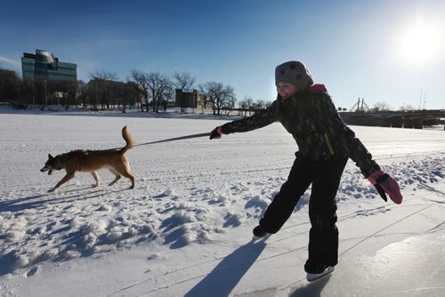 Eleven-year-old Isabel Elliott-Boothe laughs as her part husky dog Rock pulls her along the ice on the Red River on the newly opened River Trail  Thursday.   Jan 01, 2015 Ruth Bonneville / Winnipeg Free Press