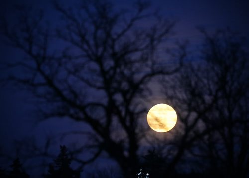 January 4, 2015 - 150104  -  A full moon is seen over Assiniboine Park Sunday, January 4, 2015. John Woods / Winnipeg Free Press