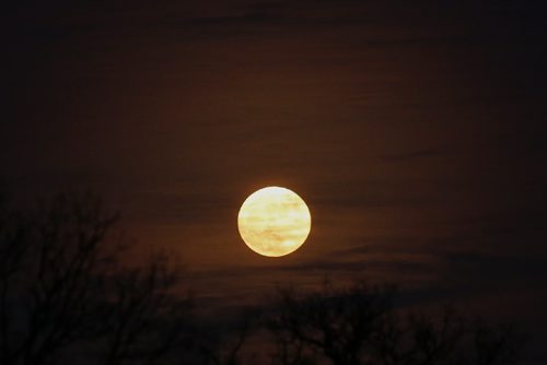 January 4, 2015 - 150104  -  A full moon is seen over Assiniboine Park Sunday, January 4, 2015. John Woods / Winnipeg Free Press