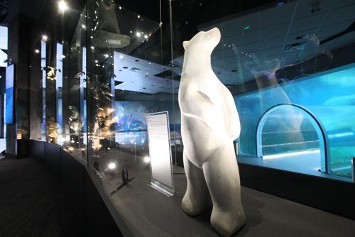 WAG Showcases Inuit Art at Journey to Churchill Exhibit with an iimpressive array of Inuit sculpture in an ongoing, rotating display.  Standup photo.   Jan 06, 2015 Ruth Bonneville / Winnipeg Free Press