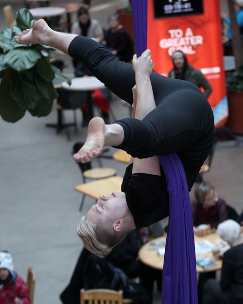 Jordan Dock from the Take Flight Aerial + Acrobatics Troupe performs aerial silks at a event where Winnipeg International Children's Festival announced Kidsfest headliners and 2015 initiatives Standup Photo- Jan 08, 2015   (JOE BRYKSA / WINNIPEG FREE PRESS)