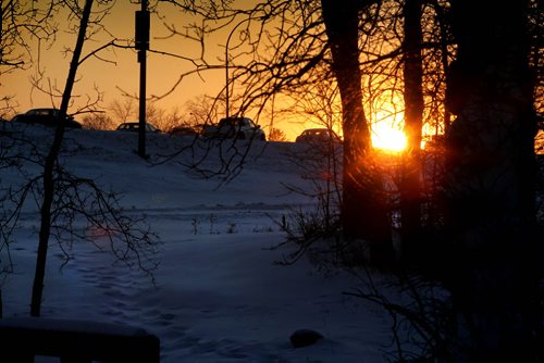 The sun peaks its head between the trees  near Niakwa Park as traffic makes its way west down Fermor Ave. during rush hour Thursday.  Standup photo Jan 08, 2015 Ruth Bonneville / Winnipeg Free Press