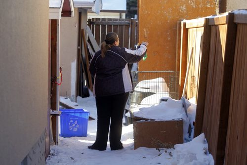 LOCAL NEWS - Carrie Muth lives in East Elmwood and feeds feral cats that live in an derelict garage next door. She said that Animal Services came to her door this week to check things out. In this photo Muth tries to coax the timid cats out of the next door garage. BORIS MINKEVICH /WINNIPEG FREE PRESS. January 9, 2015