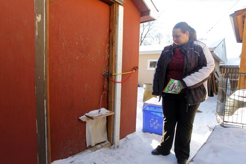 LOCAL NEWS - Carrie Muth lives in East Elmwood and feeds feral cats that live in an derelict garage next door. She said that Animal Services came to her door this week to check things out. Here Muth looks for the cats on her yard. There is a flapper door on the heated shed door. BORIS MINKEVICH /WINNIPEG FREE PRESS. January 9, 2015