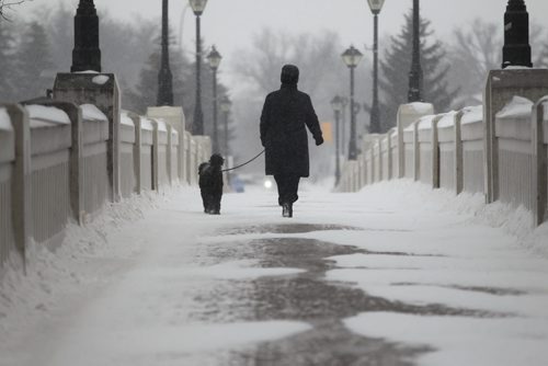 Pat Smith walks with her dog Lucy across the foot bridge at Assiniboine Park Wednesday amidst blowing snow.     Standup photo Jan 14, 2015 Ruth Bonneville / Winnipeg Free Press