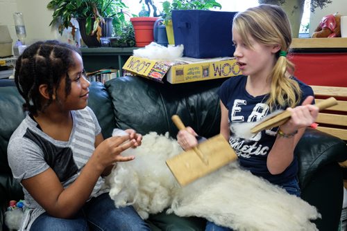 Bethany Hector (left), 11, and Avrey Murdy, 11, hand pick the dirt out of sheep wool and hand card it. Elaine Owen, a teacher at Miami School in Miami, Manitoba has undertaken a huge project to teach her students some core values. Over the last six months, she has gathered raw wool and shown her students the process through washing, carding, dyeing and spinning the wool and then using looms, making mittens, scarves, etc. Elaine has four spinning wheels in her classroom and the students are donating their crafted items to a local shelter.  150113 - Wednesday, January 14, 2015 -  (MIKE DEAL / WINNIPEG FREE PRESS)