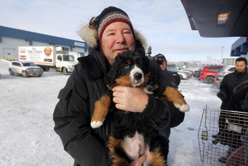 LOCAL - STANDUP - Bill Friday from the Kenora area finally gets to meet his eight-week-old Bernese Mountain Dog named Levon. Westjet almost lost the dog. BORIS MINKEVICH /WINNIPEG FREE PRESS. January 15, 2015