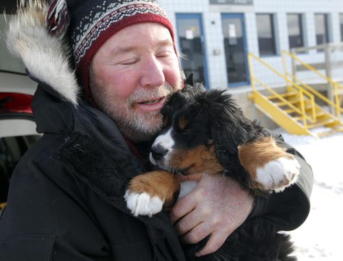 LOCAL - STANDUP - Bill Friday from the Kenora area finally gets to meet his eight-week-old Bernese Mountain Dog named Levon. Westjet almost lost the dog. BORIS MINKEVICH /WINNIPEG FREE PRESS. January 15, 2015