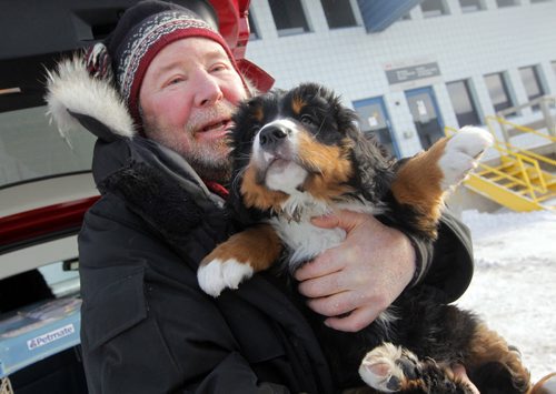 LOCAL - STANDUP - Bill Friday from the Kenora area finally gets to meet his eight-week-old Bernese Mountain Dog named Levon. Westjet almost lost the dog. BORIS MINKEVICH /WINNIPEG FREE PRESS. January 15, 2015