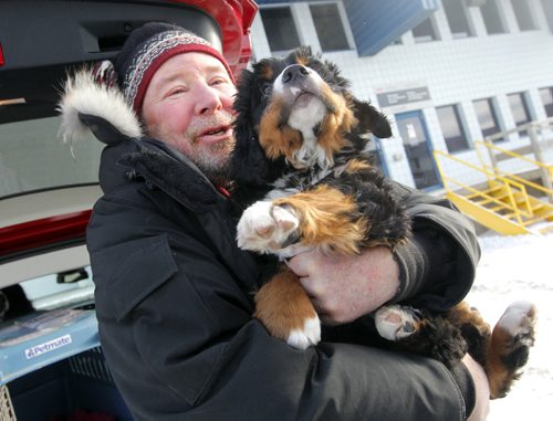 LOCAL - STANDUP - Bill Friday from the Kenora area finally gets to meet his eight-week-old Bernese Mountain Dog named Levon. Westjet almost lost the dog. BORIS MINKEVICH /WINNIPEG FREE PRESS. January 15, 2015