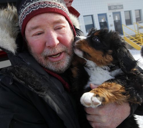 LOCAL - STANDUP - Bill Friday from the Kenora area finally gets to meet his eight-week-old Bernese Mountain Dog named Levon. Westjet almost lost the dog. BORIS MINKEVICH /WINNIPEG FREE PRESS. January 15, 2015