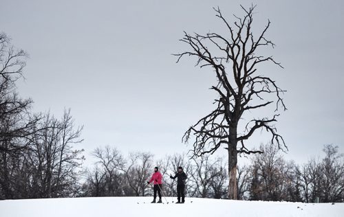 Cross country skiers make their way along a trail at the Windsor Park Nordic Centre Sunday morning.  150118 January 18, 2015 Mike Deal / Winnipeg Free Press