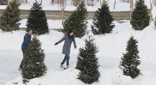 A couple skates along the skating trail at The Forks Monday afternoon.  150119 January 19, 2015 Mike Deal / Winnipeg Free Press