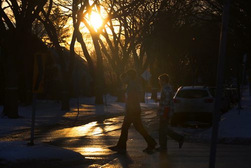 Kids enjoy warm 4 C weather  for a walk on Wilton Ave Friday afternoon in Winnipeg- Standup Photo- Jan 23, 2015   (JOE BRYKSA / WINNIPEG FREE PRESS)