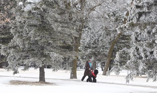 A person takes the opportunity to go for a walk with their dog amongst hoarfrost covered trees in Assiniboine Park Tuesday morning.  150127 January 27, 2015 Mike Deal / Winnipeg Free Press