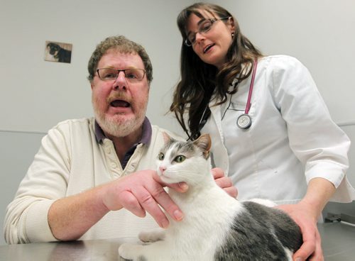 PET PAGE - The trials and tribulations of getting a pet cat to swallow a pill. (R) Humane Society veterinarian Dr. Erika M. Anseeuw with(L) WFP's Doug Speirs "pilling" a cat. Pilling is administering drugs to a cat in the form of a pill. BORIS MINKEVICH / WINNIPEG FREE PRESS  Jan. 27, 2015