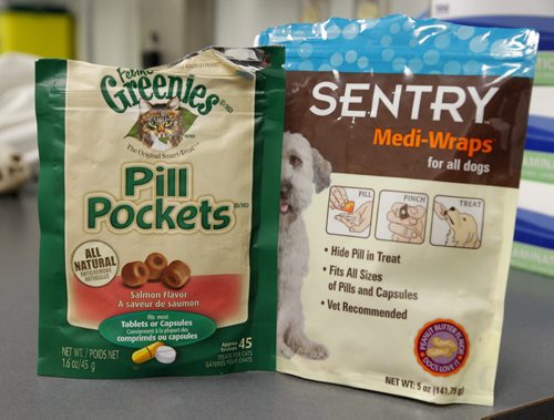 PET PAGE - The trials and tribulations of getting a pet cat to swallow a pill. Here are some pill aids to help get pets to take their medicine. BORIS MINKEVICH / WINNIPEG FREE PRESS  Jan. 27, 2015