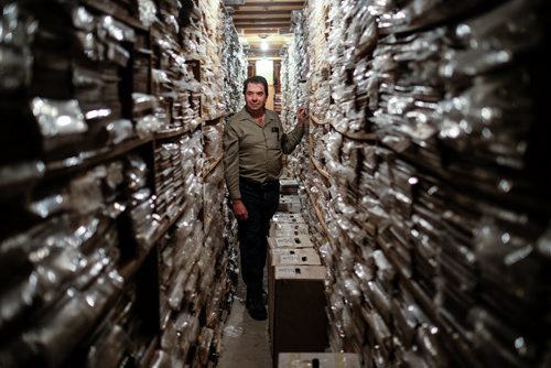 Doug Sulipa, is perhaps the largest comic book dealer in the world. The year 2015 marks 50 years since Doug's dad bought him his first comic book - Doug was a fixture downtown for years at his store Comic World, but since 1996, he's been mail-order only. His warehouse is chock full of comics, albums, magazines and even 8-track tapes. 150129 - Thursday, January 29, 2015 - (MIKE DEAL / WINNIPEG FREE PRESS)