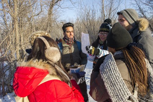 150131 Winnipeg - DAVID LIPNOWSKI / WINNIPEG FREE PRESS (January 31, 2015)  International students new to Winnipeg from the International College of Manitoba experience winter for the first time at Fort Whyte Alive by participating in a digital scavenger hunt/geo cache.