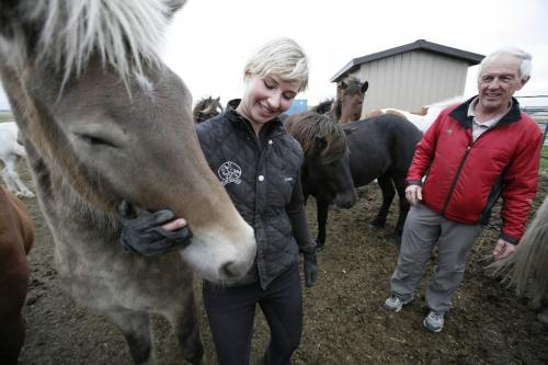 John Woods / Winnipeg Free Press / September 18/07- 070918  - Jelena Ohm, a trainer of Icelandic horses, and Brett Arnason, owner of Arnason Icelandic Horse Farm show off some of the horses at his ranch Tuesday September 18/07.