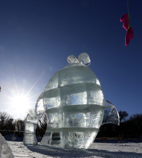 A large Ice fish sculpture appears to rise out of the Assiniboine River at The Forks for a worm, this is an entry in the Warming Huts V.2015, An Art + Architecture competition.  The sculpture design called "This Big" by  Tina Soli and Luca Roncoroni , Droebak Akershus from Norway.  Wayne Glowacki/Winnipeg Free Press Feb.4  2015