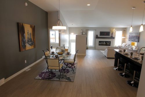 NEW HOMES - Hearth Homes. The Kendal - 1520 sq ft bi-level. 3 Water Lily Lane in Sage Creek. BORIS MINKEVICH / WINNIPEG FREE PRESS  FEB. 9, 2015