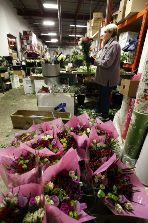 Marilyn Sulkers prepares bouquets. Staff at Petals West Inc. were hard at work during the days leading to St. Valentine's Day.  For Feature on the flower industry by Randy Turner.  Wayne Glowacki/Winnipeg Free Press Feb.11   2015