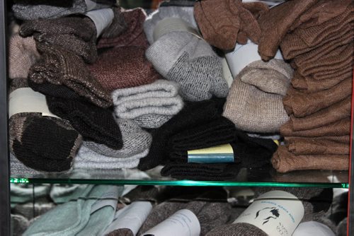 056 - 061 - alpaca socks (socks are key subject to story) BILL REDEKOP/WINNIPEG FREE PRESS Feb 13, 2015