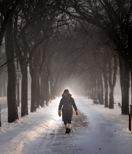 Parka-check, Hoodup-Check, Garbage mitts-check, wooly socks-check,....A Winnipegger at home, Judy Kyriakopoulos didn't let a lil frigid arctic air stop her from enjoying her walk in Assinaboine Park Tuesday. WEATHER - STAND-UP. February 17, 2015 - (Phil Hossack / Winipeg Free Press)