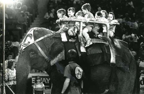 Youngsters attending the first night of the 55th annual Shrine Circus got a bonus before the show started at the Winnipeg Arena  - a ride atop one of the troupe's performing elephants. March 26, 1988  Wayne Glowacki / Winnipeg Free Press