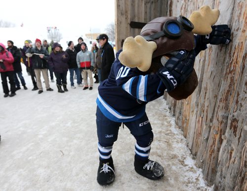 Mick E. Moose takes a moment to collect his thoughts after his team lost a tug-o-war during a mascot challenge at the Festival du Voyageur, Saturday, February 21, 2015. (TREVOR HAGAN/WINNIPEG FREE PRESS)