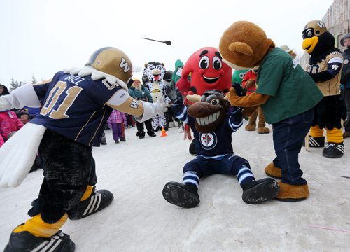 Mick E. Moose is mobbed by other mascots during a mascot challenge at the Festival du Voyageur, Saturday, February 21, 2015. (TREVOR HAGAN/WINNIPEG FREE PRESS)