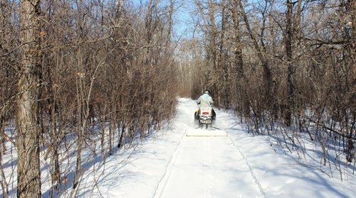 01, 010, 011 Volunteer Tom Carberry of Dauphin out grooming the ski trail in Riding Mountain National Park.  BILL REDEKOP/WINNIPEG FREE PRESS Feb 27, 2015