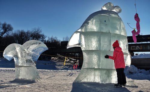 A young skater examines the ice sculpture called "This Big" made by Tina Soli and Luca Roncoroni from Norway, on the River Trail at The Forks Sunday afternoon.   150301 March 01, 2015 Mike Deal / Winnipeg Free Press