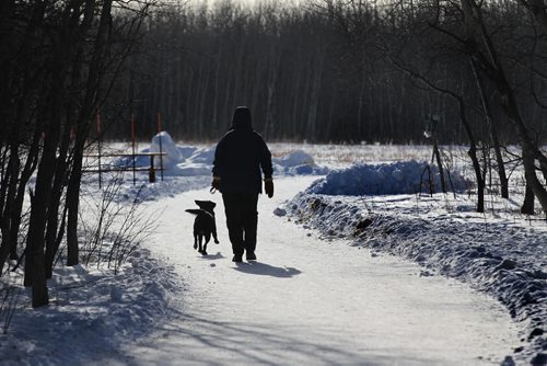 A woman walks her dog in Assiniboine Forest Tuesday morning.  Standup Tuesday,  March 03, 2015 Ruth Bonneville / Winnipeg Free Press.