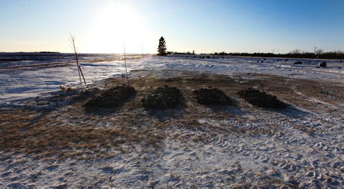 Four fresh mounds of dirt lay next to each of other  for the four Froese boys in the late afternoon  at the Lowe Farm Cemetary Wednesday after they were laid to rest earlier in the day before their funeral Wednesday in Winkler.   On Feb 25th a house fire  took the lives of the four boys sleeping in the 2nd level of the home in Kane Manitoba.  Wednesday,  March 04, 2015 Ruth Bonneville / Winnipeg Free Press.