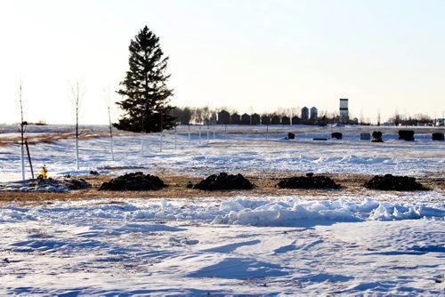 Four fresh mounds of dirt lay next to each of other  for the four Froese boys in the late afternoon  at the Lowe Farm Cemetary Wednesday after they were laid to rest earlier in the day before their funeral Wednesday in Winkler.   On Feb 25th a house fire  took the lives of the four boys sleeping in the 2nd level of the home in Kane Manitoba.  Wednesday,  March 04, 2015 Ruth Bonneville / Winnipeg Free Press.