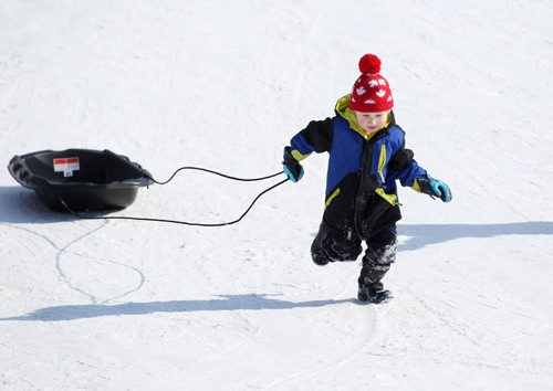 Three and a half year old Jett Sawatzki is determined to pull his own sled up the hill located on Wellington Cresent under the Kenaston bridge  Saturday while sliding with his grandparents.   Saturday  March 07, 2015 Ruth Bonneville / Winnipeg Free Press.