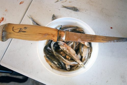 Minnows filleting knife in ice hut on  Lake Winnipeg aprx 45 km north of Winnipeg- see Mellisa Tait/Bryksa ice fishing feature story  Apr, 2015   (JOE BRYKSA / WINNIPEG FREE PRESS)