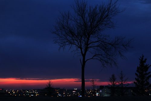 A glow of magenta light is  seen from Garbage Hill Thursday evening and is all that remains of the sunshine that brought daytime temperatures  in Winnipeg to a balmy high of 9 degrees C.  Standup photo  March 12, 2015 Ruth Bonneville / Winnipeg Free Press.