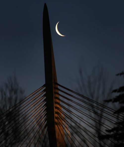 The crescent moon over the Esplanade Riel Pedestrian Bridge on a clear -3C Tuesday morning. Wayne Glowacki/Winnipeg Free Press March 17 2015