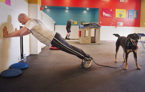 Andre Lavergne does push ups against the wall as his dog Burger takes a break at their second class at Woof and Wags on Sunday. Sarah Taylor / Winnipeg Free Press March 22, 2015