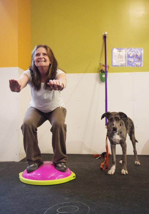 Fayette Buchen does squats as her dog Gavin watches on at their fitness class at Woof and Wags on Sunday. Sarah Taylor / Winnipeg Free Press. March 22, 2015