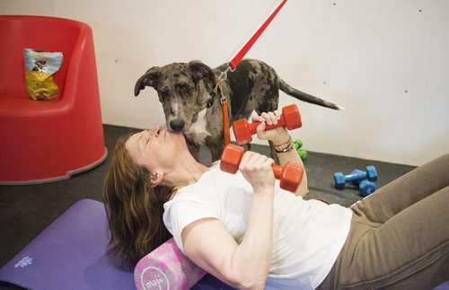 Fayette Buchen gets a kiss from her dog Gavin at their fitness class at Woof and Wags on Sunday. Sarah Taylor / Winnipeg Free Press. March 22, 2015