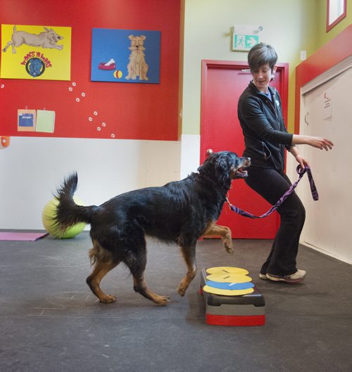 Carly Lodewyks works out with her dog Ember as they attend their first class at Woof and Wags on Sunday. Sarah Taylor / Winnipeg Free Press March 22, 2015