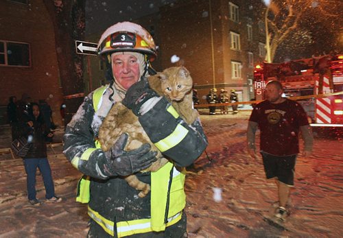 A firefighters carries a tenants cat to a warm vehicle as his fellow firefighters battled a blaze at the Stirling Apartments at 573 Sherbrook Monday morning- The whole building was evacuated as crews extinguished the blaze -Standup Photo- Mar 23, 2015   (JOE BRYKSA / WINNIPEG FREE PRESS)