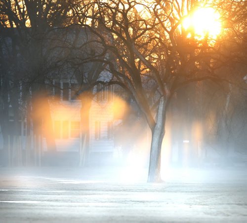 The rays of the morning sun rise Tuesday catch the fog rising off the field in Assiniboine Park. Wayne Glowacki/Winnipeg Free Press March 31  2015