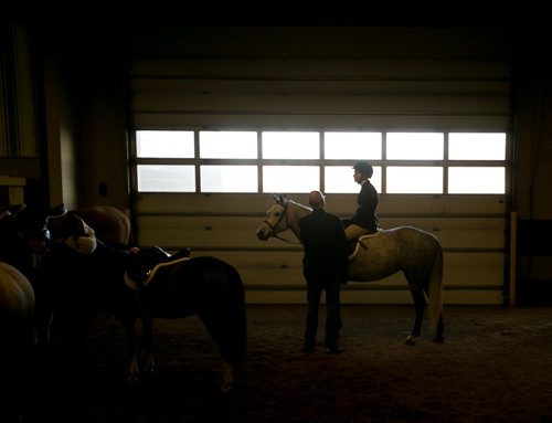 A rider waits to enter a the show ring for show hunter competition at the Royal Manitoba Winter Fair in Brandon, Manitoba March 30, 2015 at the Keystone Centre. 150330 - Monday, March 30, 2015 - (Melissa Tait / Winnipeg Free Press)