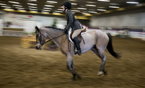 A rider at a canters during a combined pony hunter show at the Royal Manitoba Winter Fair in Brandon, Manitoba March 30, 2015 at the Keystone Centre.  150330 - Monday, March 30, 2015 - (Melissa Tait / Winnipeg Free Press)