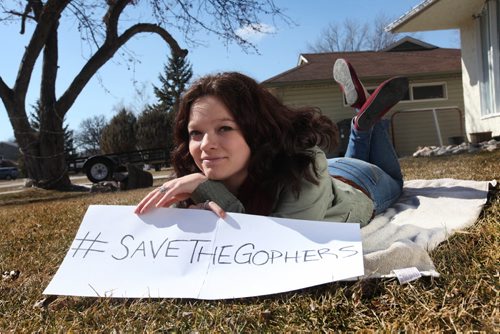 Paige McNabb has started an online petition to save the gophers from being poisoned.   See Jenna Dulewich's story. Ruth Bonneville / Winnipeg Free Press April 04,2015